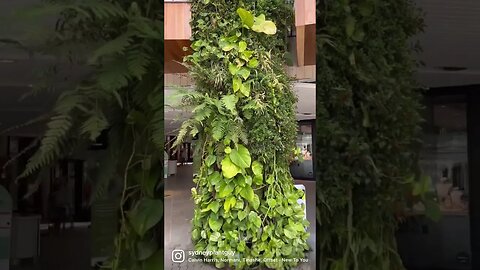 This Mall’s plant game is 🔥🔥