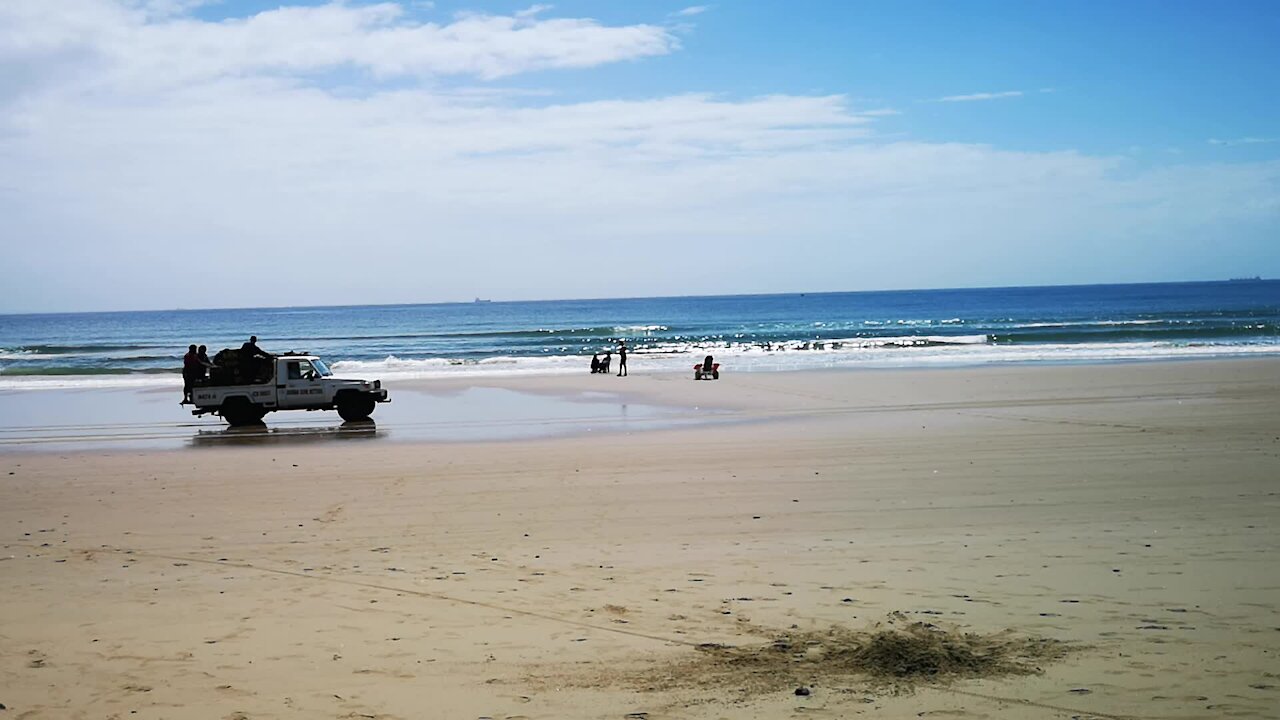 SOUTH AFRICA - Durban - Frenzy of sardine netting off Durban uShaka beach (Video) (b9z)