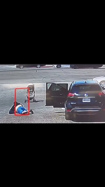 The Baby Stroller And Gravity Must Be Fatphobic