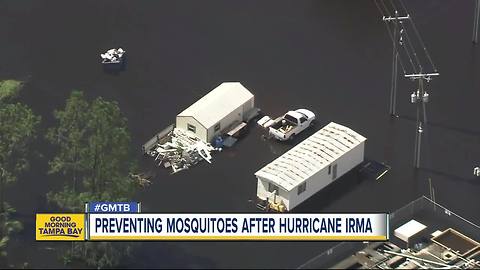 Preventing mosquitoes after Hurricane Irma