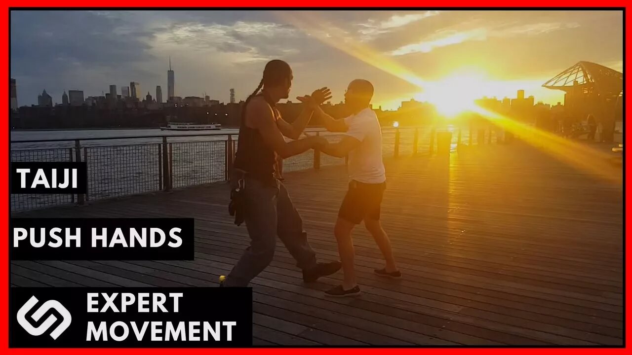 Push Hands Philosophy & Practice ☯ Modern Combat Taiji Chuan