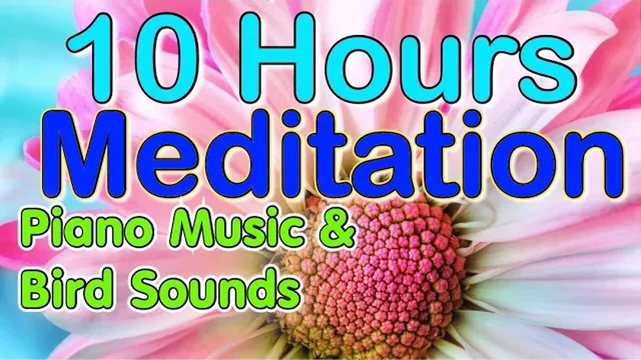 🟡 Piano Meditation Music with Nature Sounds, Bird Calls, Water Trickling