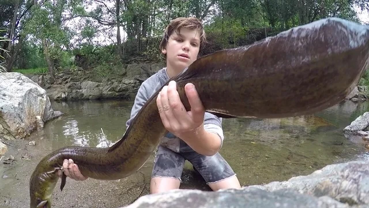 Catching The BIGGEST Freshwater EEL! (AMAZING)