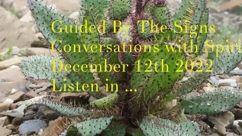 Guided By The Signs; Conversations with Spirit - December 10th 2022