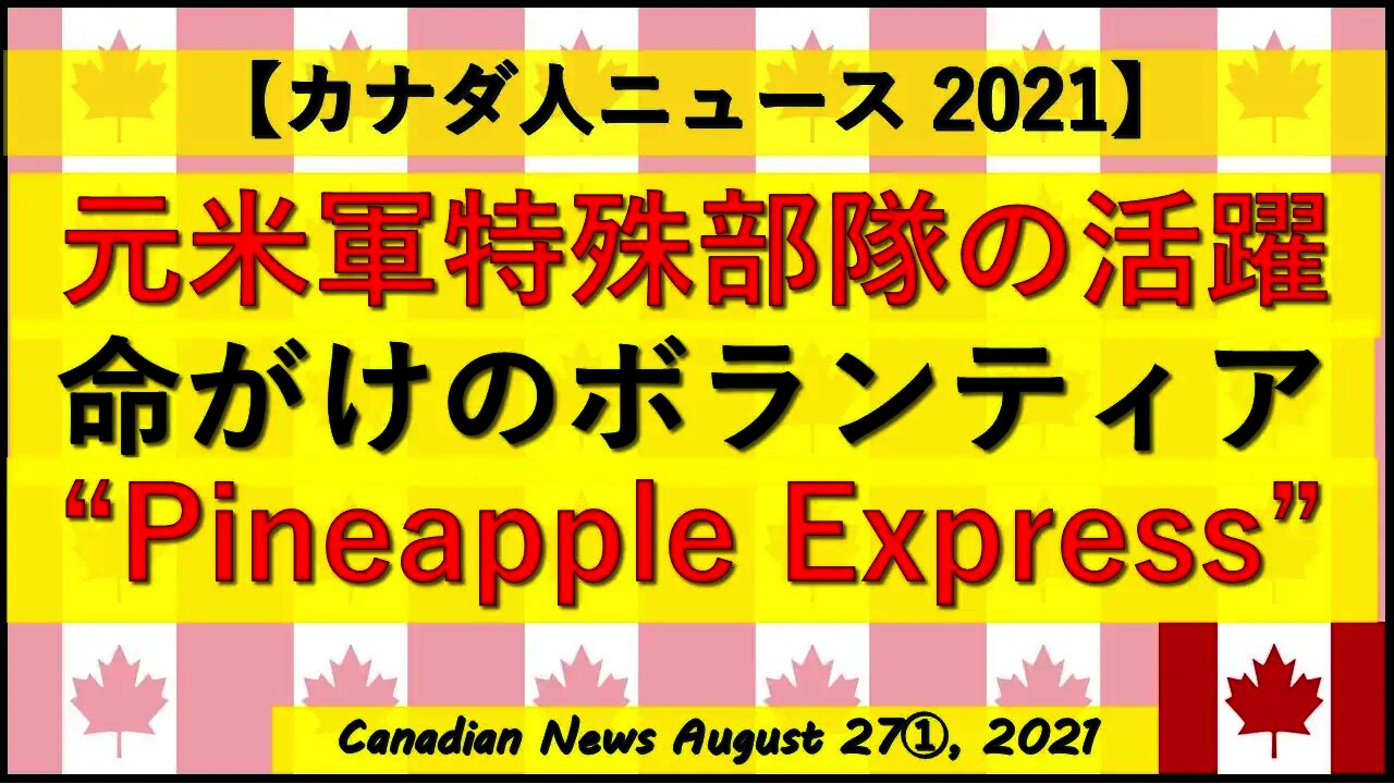 元米軍特殊部隊の命がけのボランティア”Pineapple Express”作戦