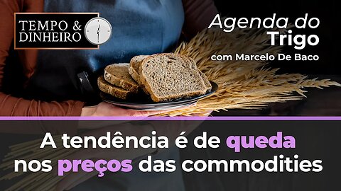 Os mercados tendem à estabilidade, a tendência é de queda nos preços das commodities