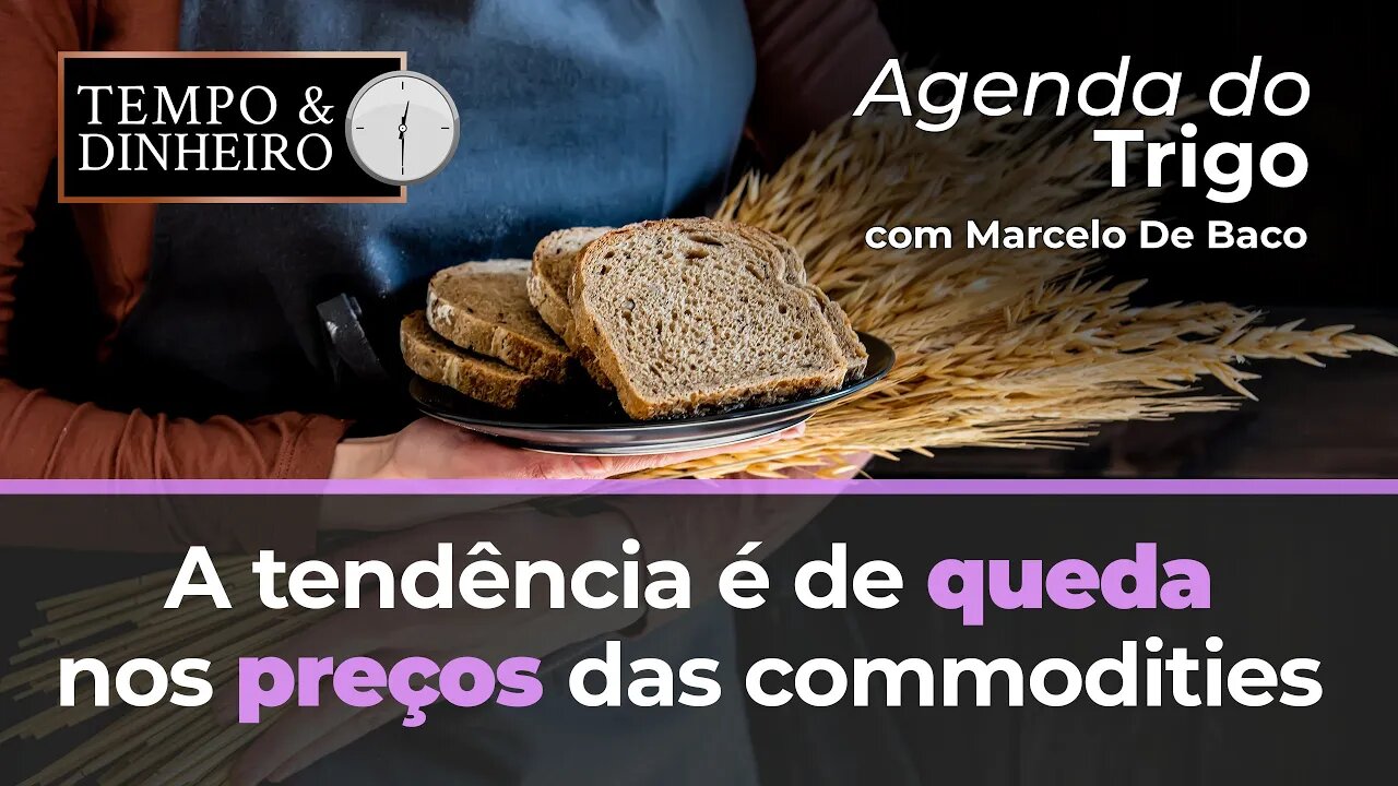 Os mercados tendem à estabilidade, a tendência é de queda nos preços das commodities