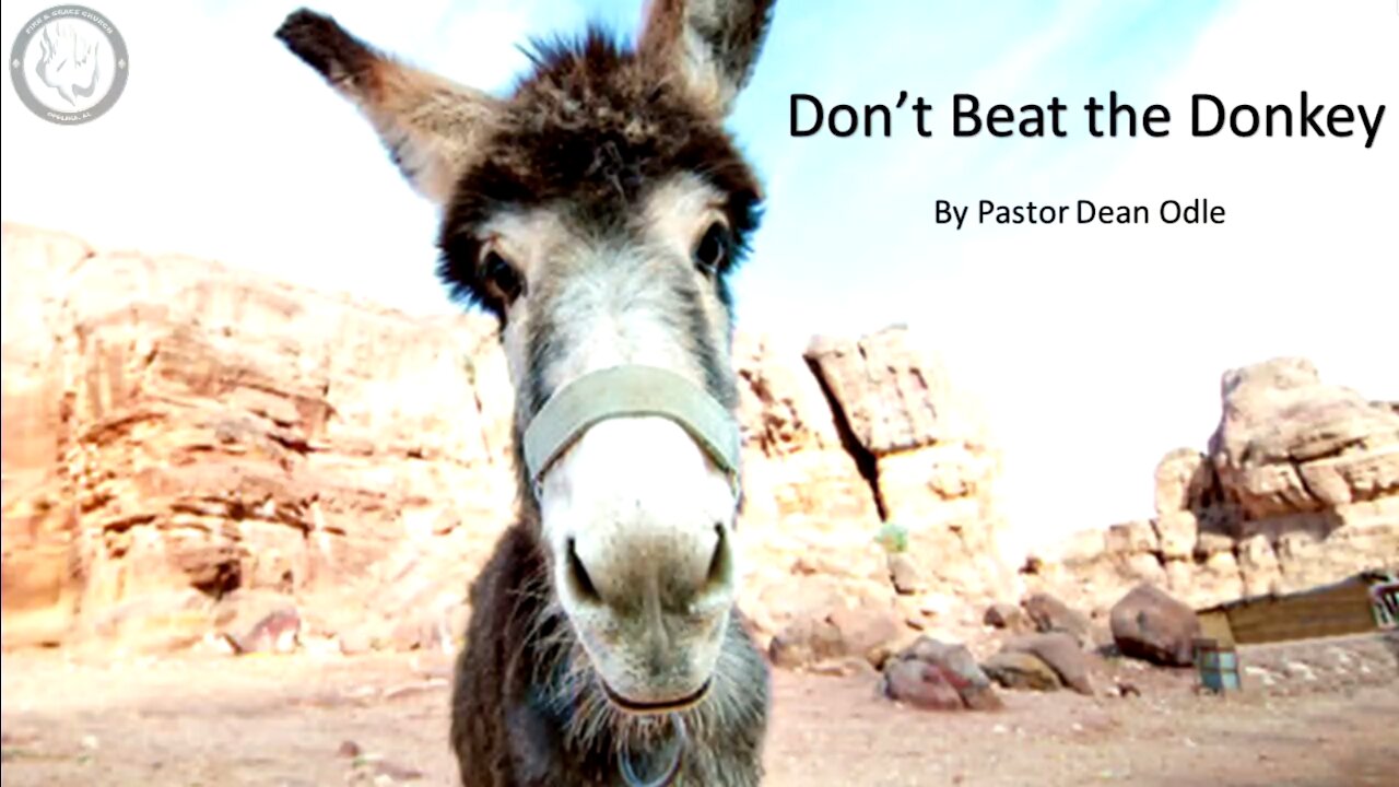 Don't Beat the Donkey
