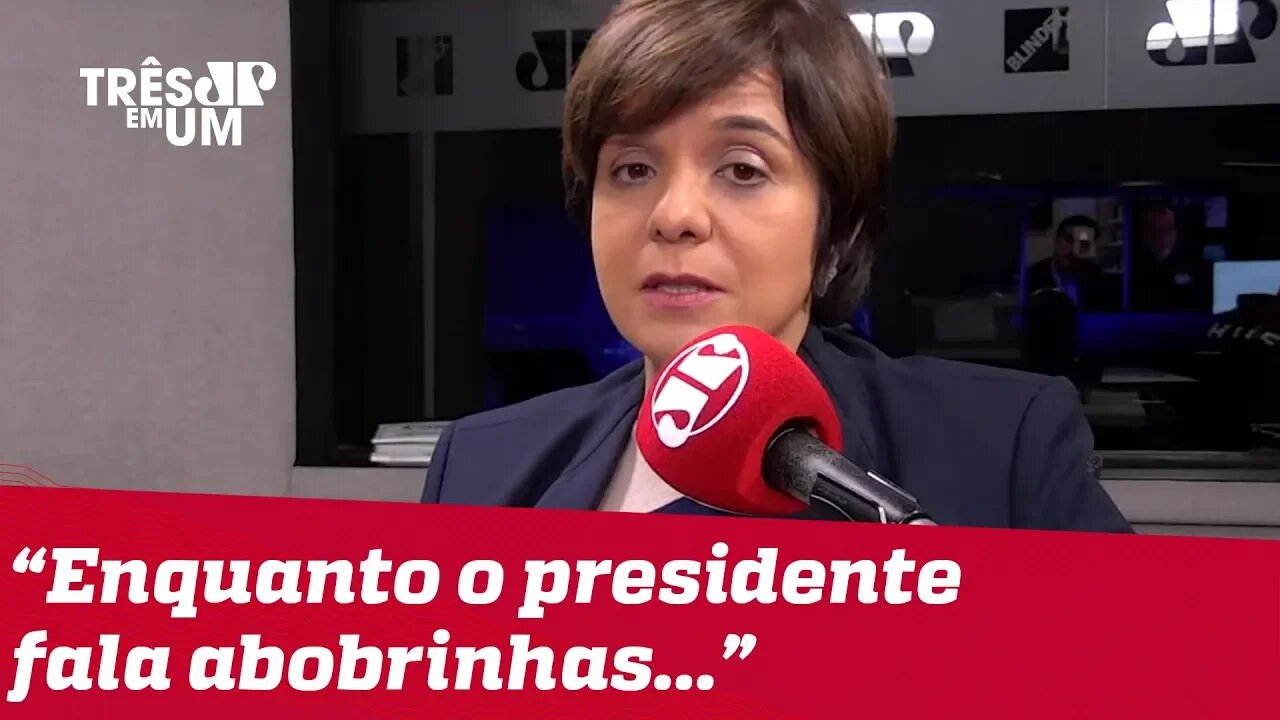 #VeraMagalhães: Enquanto Bolsonaro fala abobrinhas, ministro admite problemas com queimadas