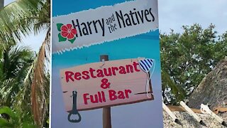 Harry and the Natives in Hobe Sound