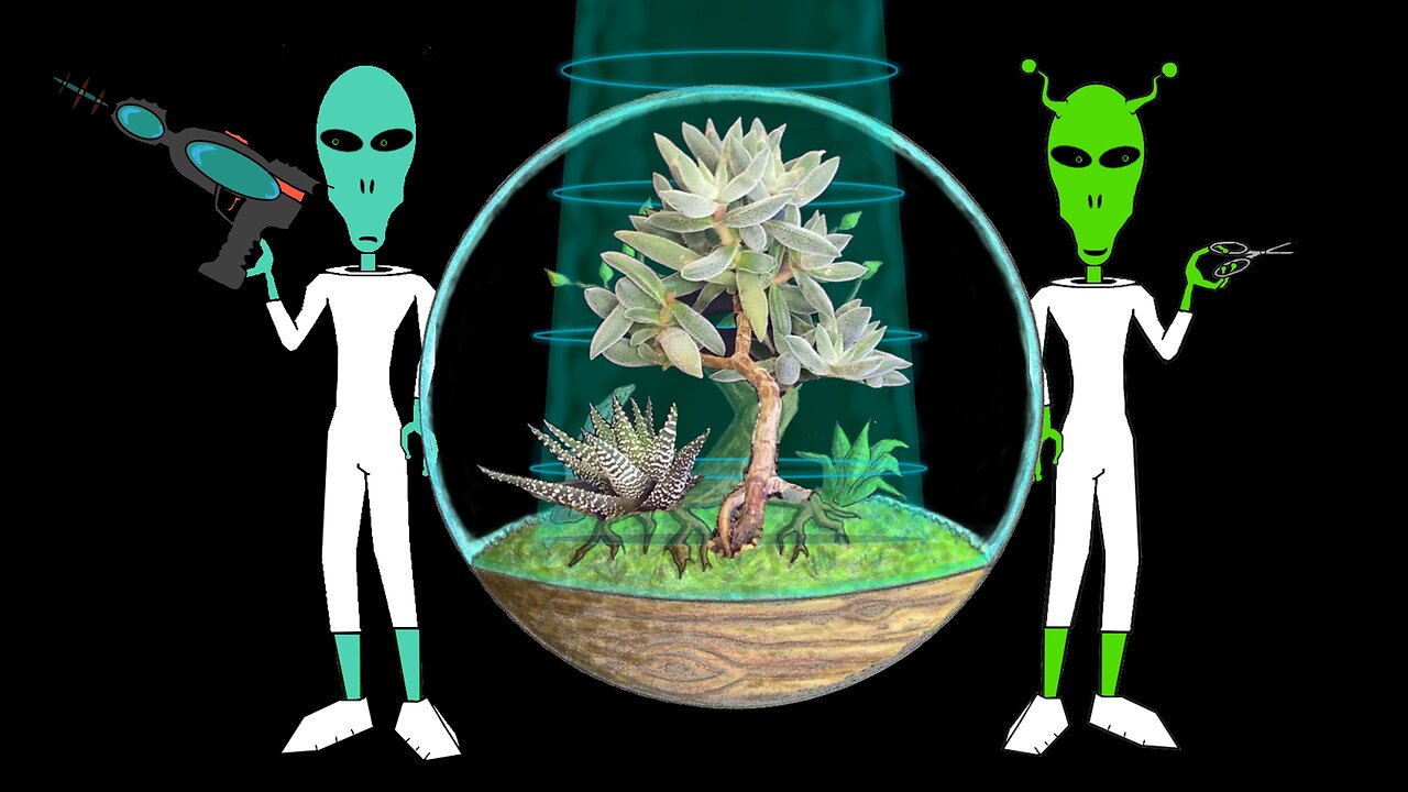 Alien Bonsai