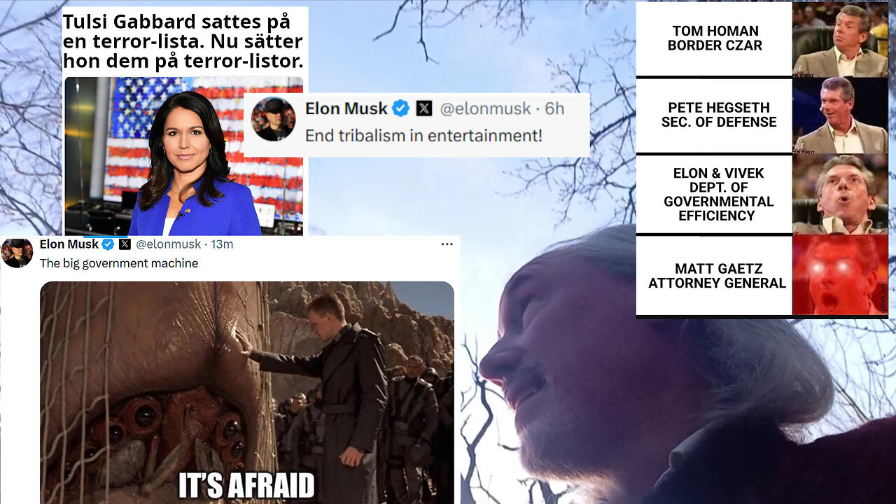 Storsegrar: Matt Gaetz. Tulsi Gabbard. Fascist-antisemit Elon?!? Optimism! Kasta bort svartpillret!