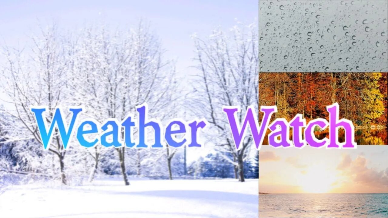 WINTER STORM WATCH | Live From the Shop