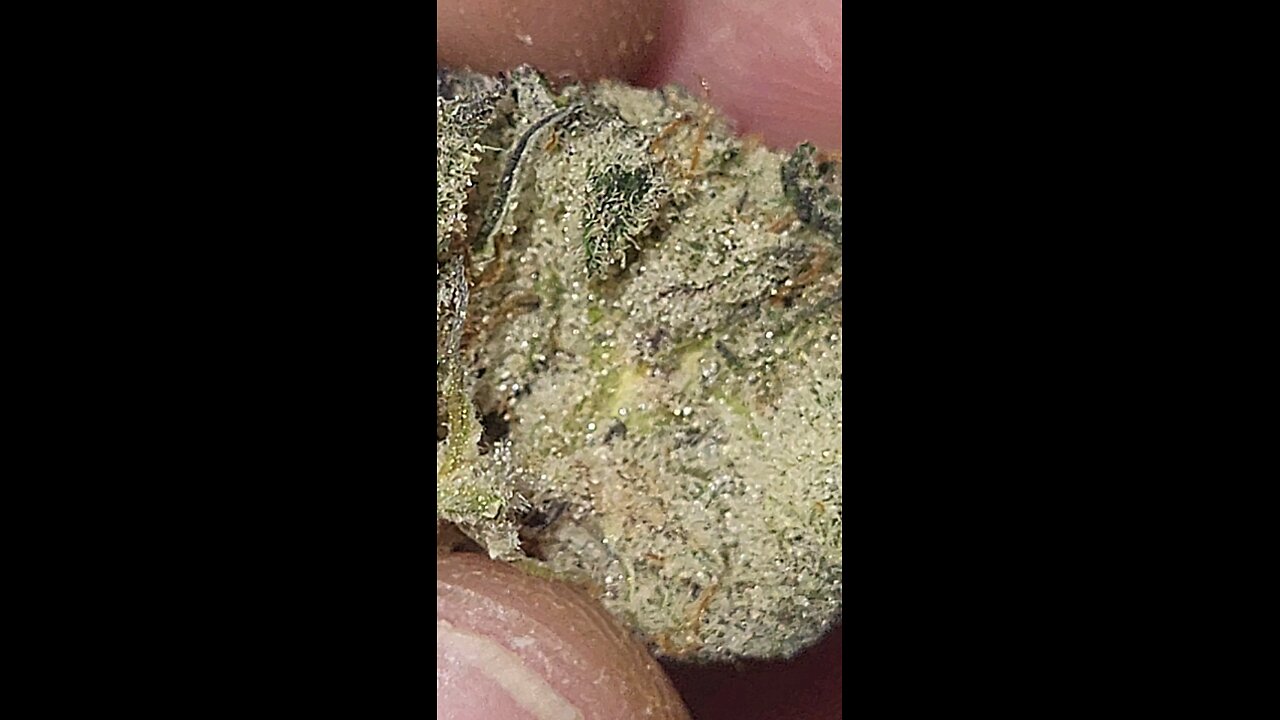 lemon oreoz
