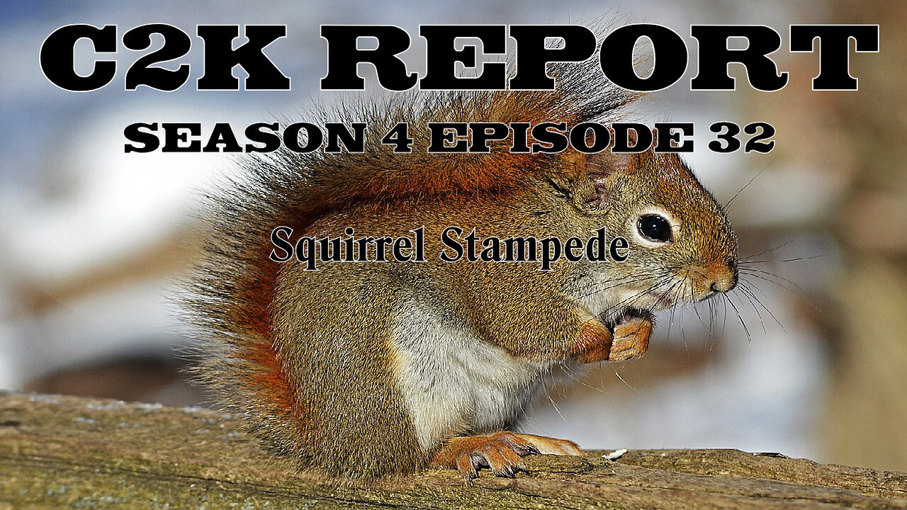 C2K Report S4 E32: Squirrel Stampede