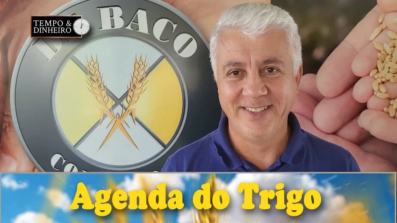 Duas safras ou safra em dobro? custos menores, genética melhor e preços? O câmbio é fundamental!