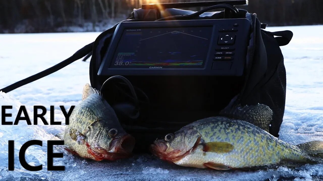 Ice Fishing Crappie with LIVE Minnows (Garmin Panoptix)