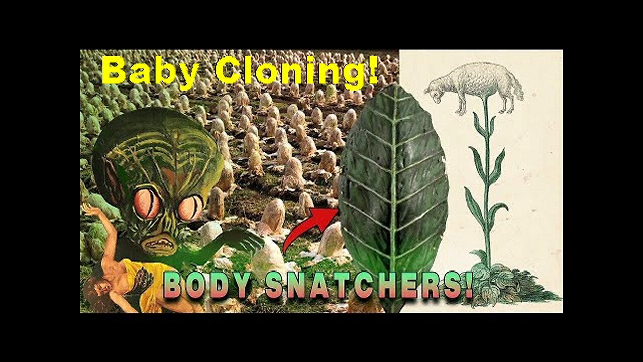 Invasion of CABBAGES! Plant/Animal Hybrid Baby Cloning, Parasites, 'NPCs' & Resets, Lamb of Tartary!