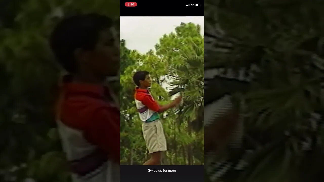 Tiger Woods younger self is soo smoothe! #tigerwoods #tomgillisgolf #golf