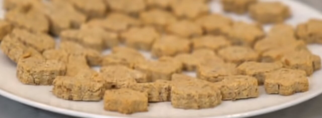 Homemade Dog Treats