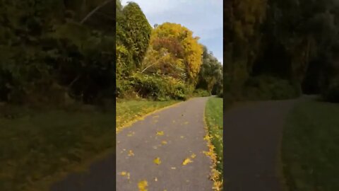 autumn trail timelapse