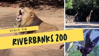 Riverbanks Zoo in Columbia South Carolina