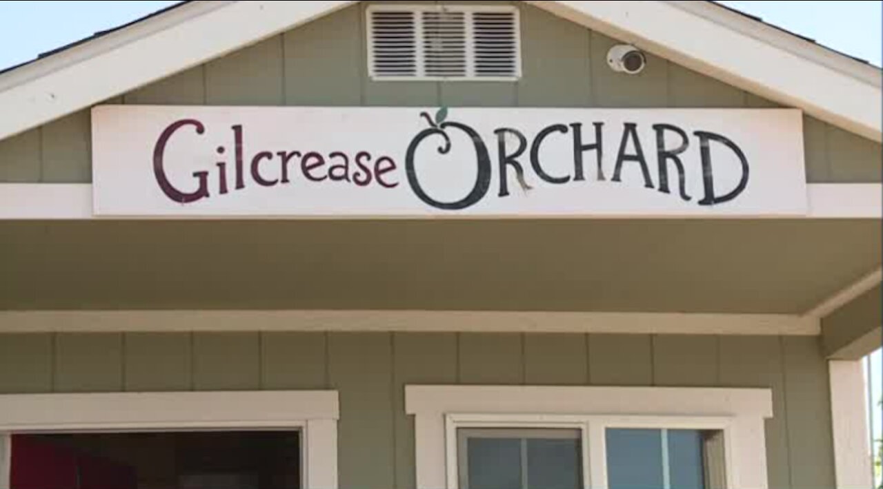 Gilcrease Orchard has reopened in Las Vegas