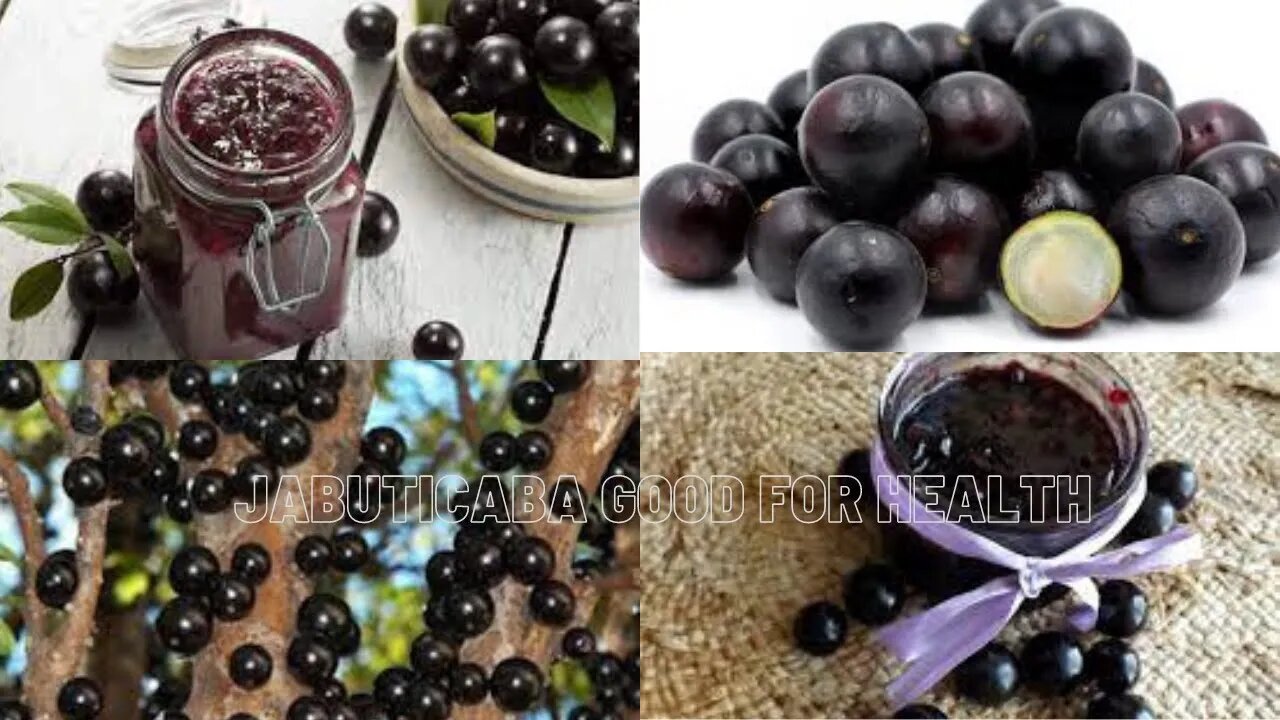 THE CONSUMPTION OF JABUTICABA AND ITS HEALTH BENEFITS.