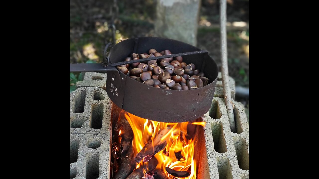 Raccolta castagne