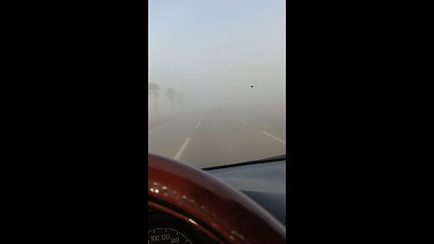 #Driver Car Driving Saudi Arabia