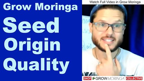 Moringa Seed Quality Origins and Knowing Your Farmer | What's the Best Way to Take Moringa?