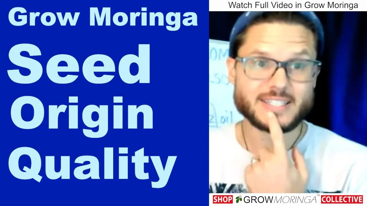 Moringa Seed Quality Origins and Knowing Your Farmer | What's the Best Way to Take Moringa?