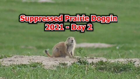 PD21.4 Suppressed Prairie Doggin'