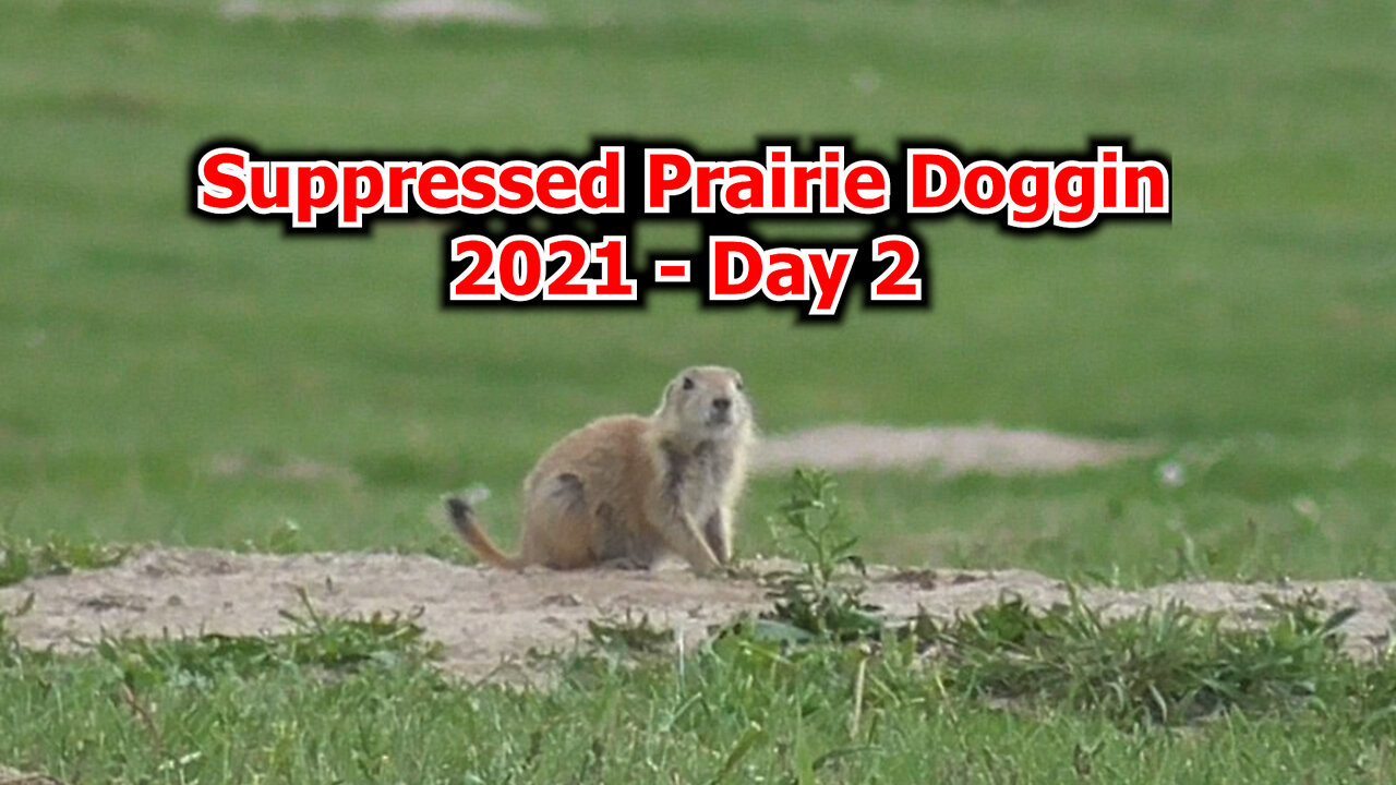 PD21.4 Suppressed Prairie Doggin'