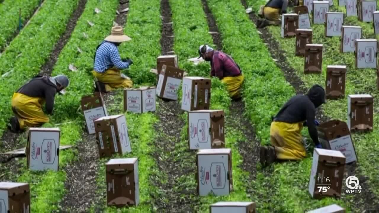 Hispanic advocates want to get more immigrant farmworkers vaccinated