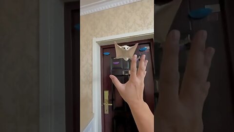 They’re like little flying hamsters!