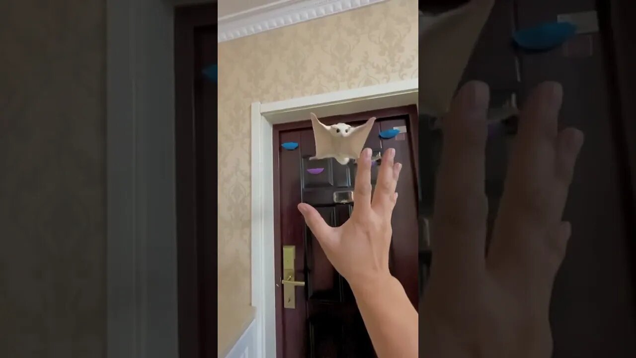 They’re like little flying hamsters!