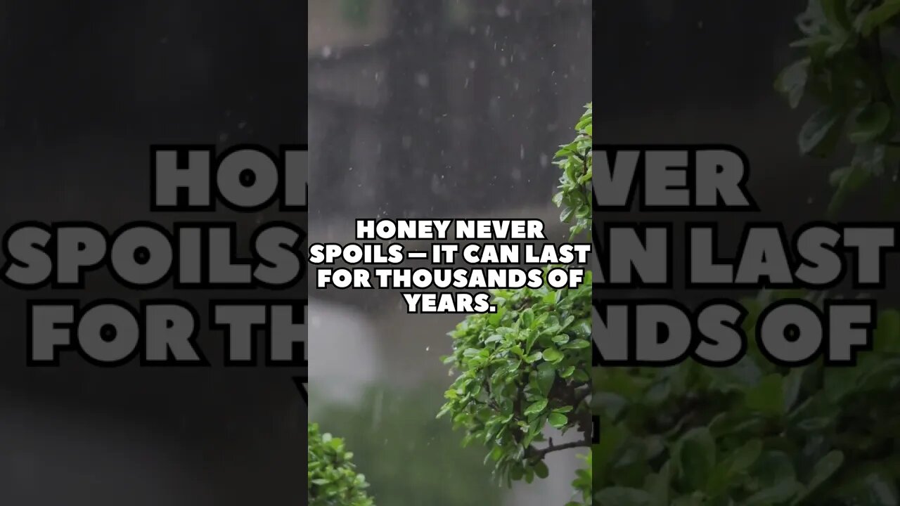 Incredible Random Facts That Will Expand Your Mind! [2023] #shorts #facts #viralshorts #fyp #life