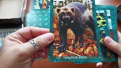 Unboxing Guardian of The Night Tarot by MJ Cullinane.