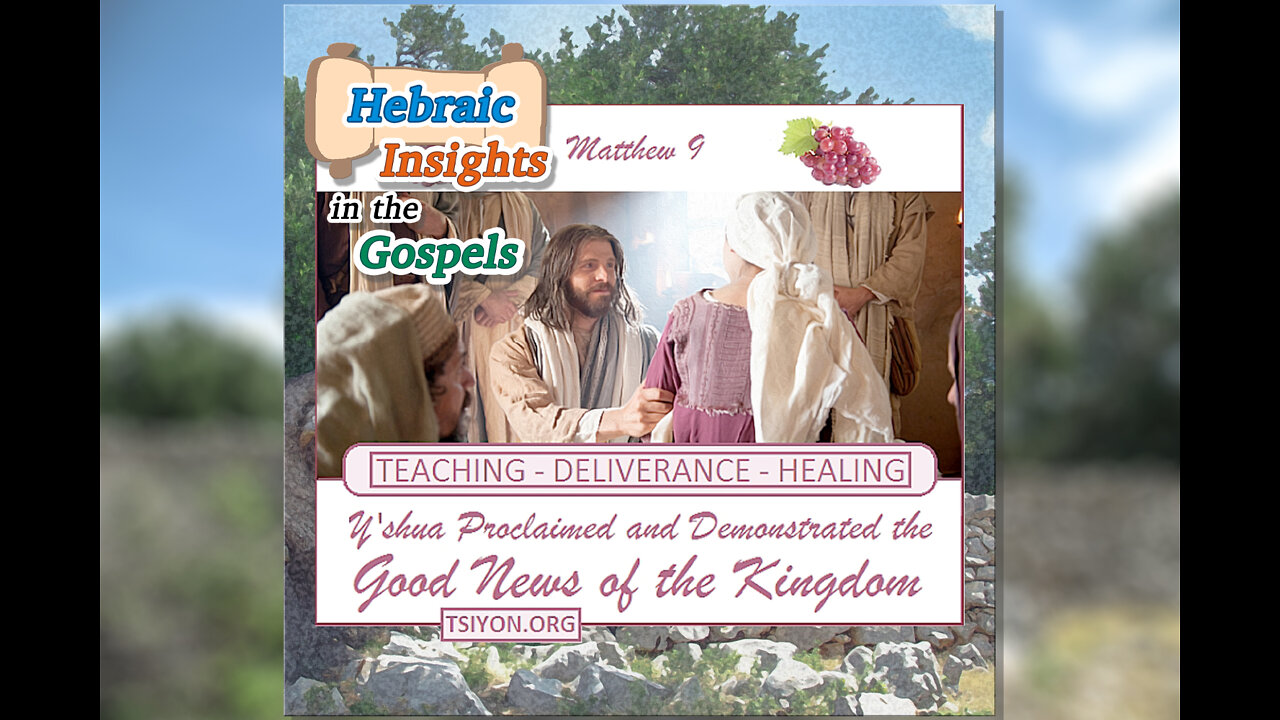 Messiah's Kingdom Ministry - Matthew 9 - HIG Ep7