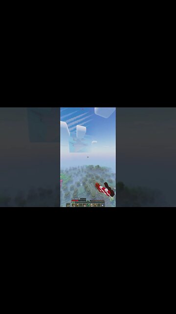 Multiplayer Minecraft Art 80