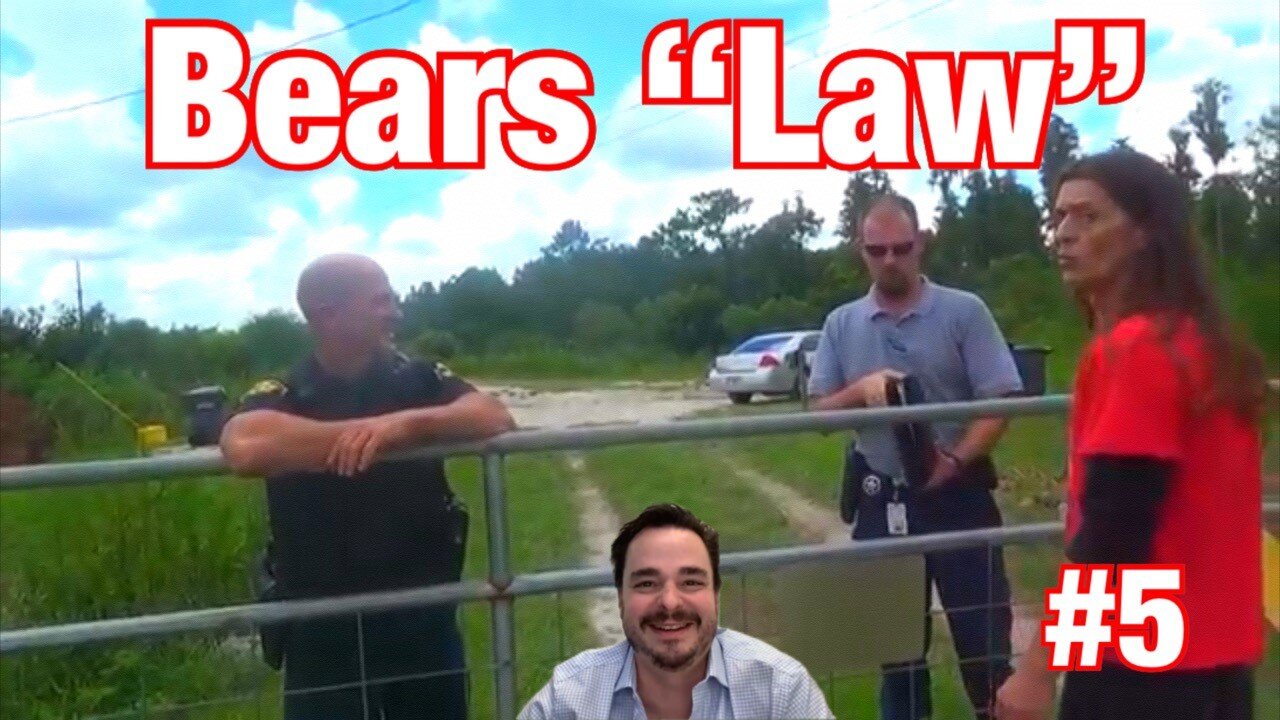 Bears "Law" #5