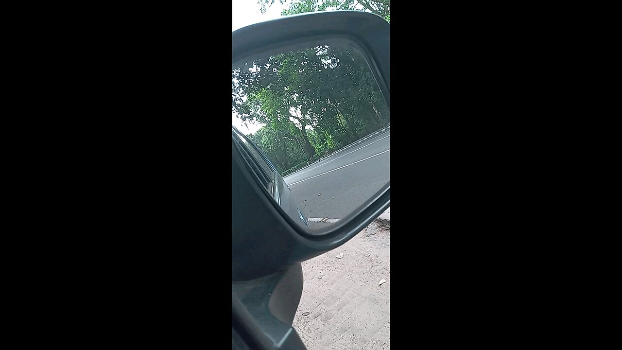 idle noon