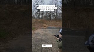 Old Bridge RPC November 2-Gun Match Stage 3 Angelo #unloadshowclear