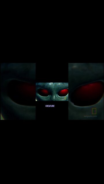 varghena ufo encounter