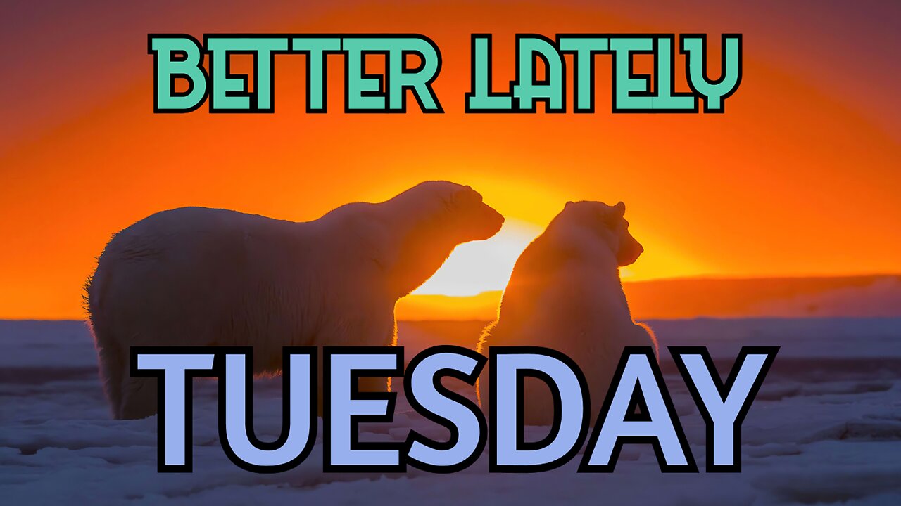 Better Lately - Tuesday