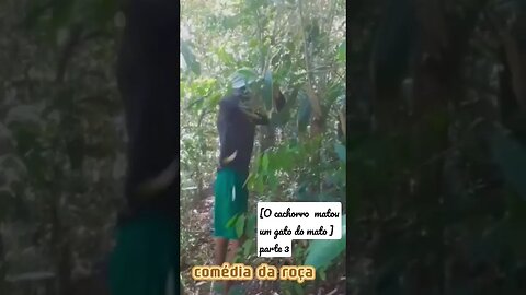 [o cachorro de Zé da caça matou um gato do mato] parte3 #short