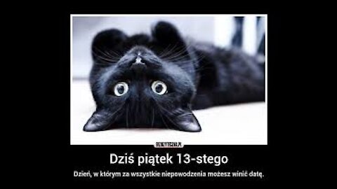 ©Parszywa trzynastka...(istotne archiwum No.1)©