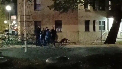 Boston police recover one fire arm and make one arrested Cathedral projects(2)