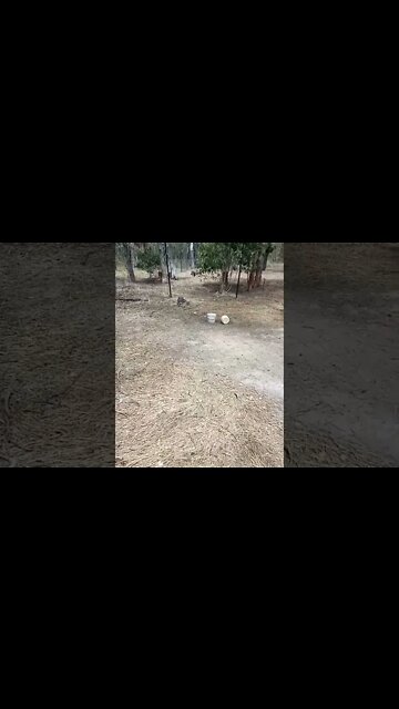 Do you ever get that feeling that you are being followed